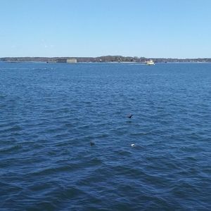 Meet your Posher, Cassie